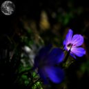 Kuhisi - Fall In Deep