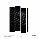 Big Martino, Stephan Barbieri & Aliens Bad Brothers - Black Mamba (Original Mix)