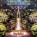 Cosmoganic  - Blazing Trails