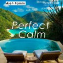 Aleh Famin - Perfect Calm (Original Mix)