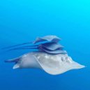 Trance Traxx - 05.22.2022. (uplifting trance)