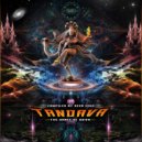 Cosmic Brahma - Down With The Psykness (Original Mix)
