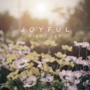 Night Sky - Joyful (Original Mix)