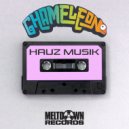 Chameleon (NZ) - Hauz Musik (Original Mix)