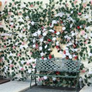 Francisco Duke - Bo Moi Khao Khat