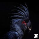 Dr Parnassus - Dragonfly (Faintface Remix)