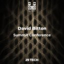 David Bitton - Roots (original)