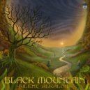 Silent Alkaloid - See Your Ghost