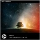 Pekka - This Is What You Came For (Extended Mix)