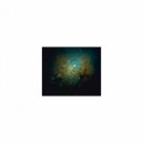Mindfulness Healing Sleep BGM Project - Splash & Concentration (Sleep BGM)