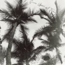 Tony Colliseum - Once Upon A Time