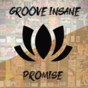 Groove Insane - Promise (Original Mix)