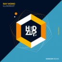 Ray Mono - Illusions (Original Mix)