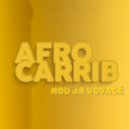 Afro Carrib - JFK