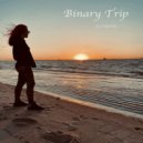 Binary Trip - ILVAITE