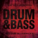 BloodWood - Sound_Labyrinths_26jun2022
