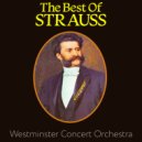 Westminster Concert Orchestra - My Life is Love and Joy ()