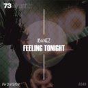 Ibanez - Feeling Tonight (Original Mix)