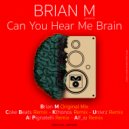 Brian M - Can You Hear Me Brain