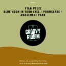Vian Pelez - Blue Moon In Your Eyes (Original Mix)