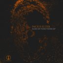 Pacius Elter - Gain of Functions