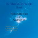 DJ Randall Smooth feat. Sybil Shanell - HEAVON (FunkySoul Remix)