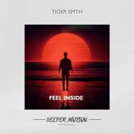 TIGER SMTH - Feel Inside