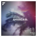 Kill Them With Colour - Amarea (Original Mix)