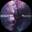 Cashm Pilot - Space Problem