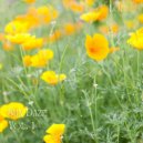 Chill & Binaural Beats Study Collective & Coffee Shop Jazz Radio - City of Clouds ()