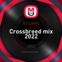 DJ Lastic - Crossbreed mix 2022 ()