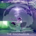 Viking Trance - The Imaginarium (Original Mix)