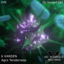 K KARDEN - Agro Tenderness (Original Mix)