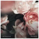 Chill Wavefront - Promise
