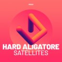 Hard Aligatore - Reach Across the Sky
