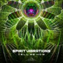 Spirit Vibrations - Tell Me How (Original Mix)