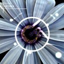 Mazeev - Ursinia (Original Mix)