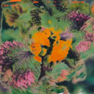 Baltra - Where I End