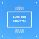 Lush Djs - About You (Original Mix)