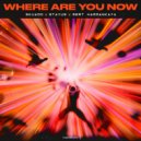Skuado, stay:us, Mert Harmankaya - Where Are You Now (Original Mix)