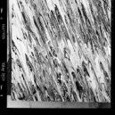 Niño Árbol - Interlacing