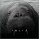 Danny Darko - Freya (Original Mix)