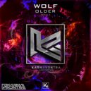 Wolf - Older (Original Mix)