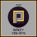 Blakey - These Day\'s (2Sleep Remix)