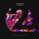 Denis Airwave - Raindrops (Extended Mix)