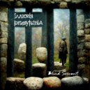 Blind Servant - Цитадель ()