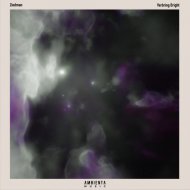 Ziedman - Verbring Bright
