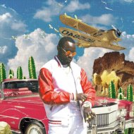 Topé - I Go Dumb