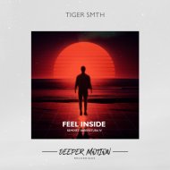 TIGER SMTH - Feel Inside