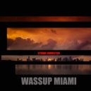 Strobe Connector - Wassup Miami